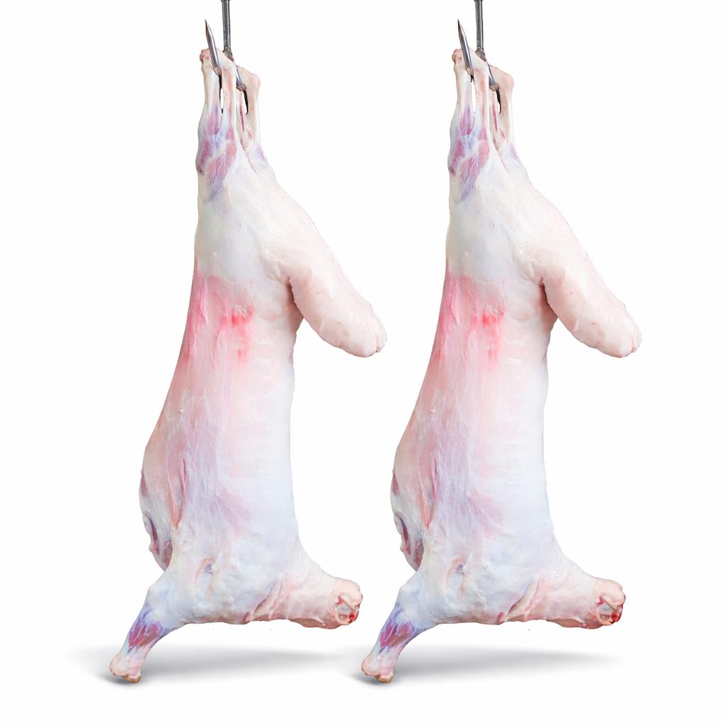 ذبيحتان معلقتان خروفان